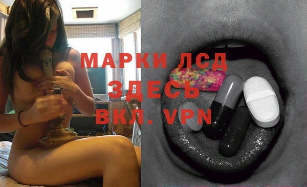 ешки Богданович
