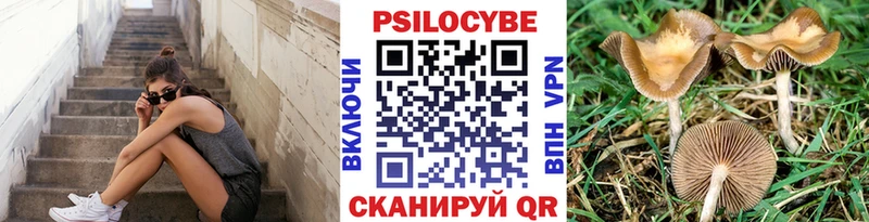 Галлюциногенные грибы мицелий  купить   Кузнецк 